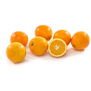 Bio Orangen im Netz  GR 1 kg