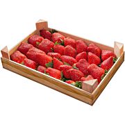 Bio Erdbeeren gelegt  ES 1 kg