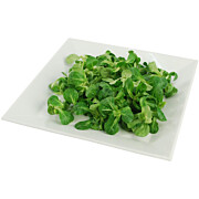 Vogerlsalat - Feldsalat  FR 100 g