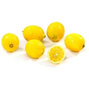 Bio Zitronen Verna gelegt  ES 18 Stk