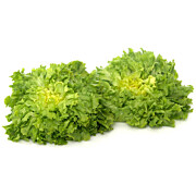 Bio Endivien Salat AT 400 g