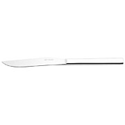 Profil Steakmesser  23,4 cm