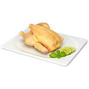 Hühner grillfertig lose  CZ ca. 1,3 kg