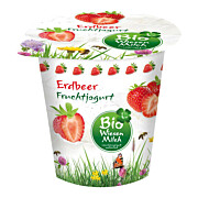 Bio Fruchtjogurt Erdbeer 150 g