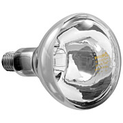 Infrarotlampe      IWL250D-W