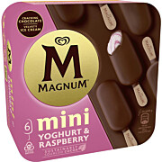 Tk-Magnum MiniYoghurt & Raspb. 6 Stk