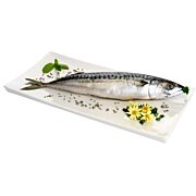 Tk-Makrelen 400-600g DE 20 kg