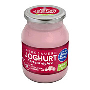 Joghurt Gartenfrüchte MW 450 g