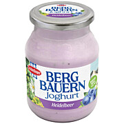 Joghurt Heidelbeer MW 450 g