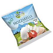 Bio Allgäuer Mozzarella 125 g