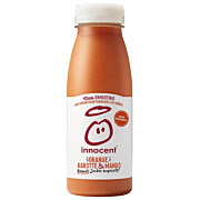 Smoothie Orange Karotte Mango 250 ml