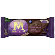 Tk-Magnum Chill Blueberry Cook 90 ml