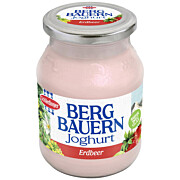Joghurt Erdbeer MW 450 g