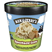 Tk-B&J Specatcu-love      465 ml