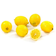Bio Zitrone Primofiore cal.3-5 IT ca. 6 kg