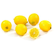 Bio Zitrone Maglino cal.4-6  GR ca. 6 kg
