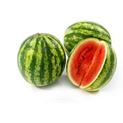 Bio Wassermelone kernlos  ES ca. 10-12 Stk