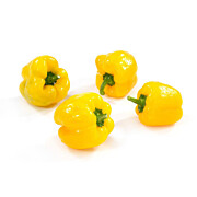 Bio Paprika gelb California ES ca. 4,5 kg