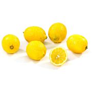 Bio Zitronen Verna ES ca. 6 kg