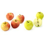 Bio Kinder Apfel Topaz 55mm+  AT ca. 13 kg