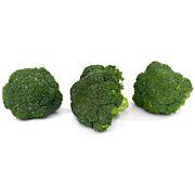 Bio Broccoli   ES ca. 5 kg