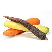 Bio Bunte Karotten Regenbogen Mix FR ca. 5 kg