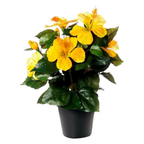 Hibiskus in Dekotopf 30cm  (8)