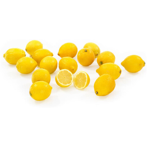 Zitronen Primofiori behandelt  ES 140 Stk