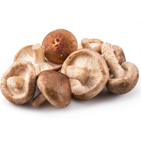 Bio Shiitake Pilze  AT 150 g