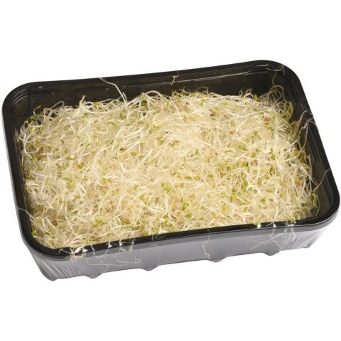 Bio Alfalfa-Sprossen  AT 100 g