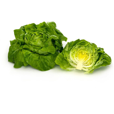 Kopfsalat - Häuptlsalat  IT 12 Stk