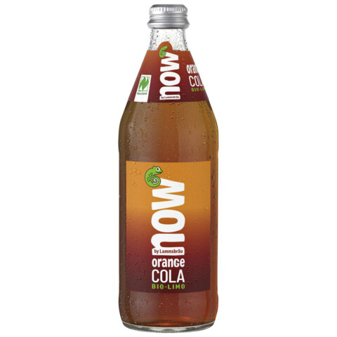 Bio Orange Cola MW  0,5 l