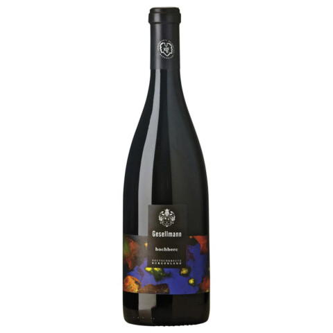 Bio Blaufränkisch Hochberc 2021 0,75 l