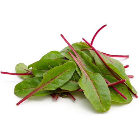 Blutmangold - Red Chard  IT ca. 1 kg