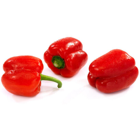 Bio Paprika rot ES ca. 5 kg