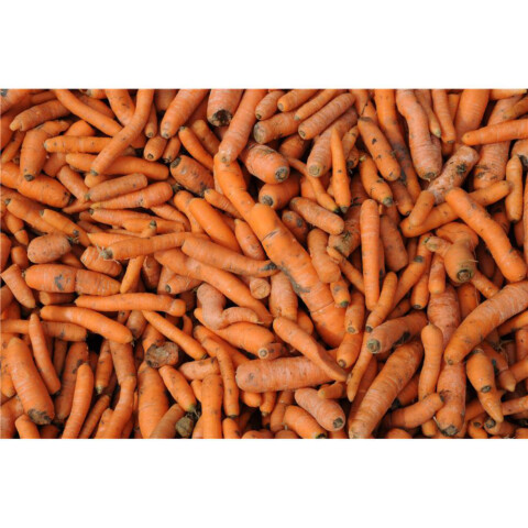 Karotten-Futter öst. AT ca. 25 kg